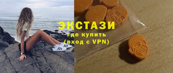 ECSTASY Богородицк